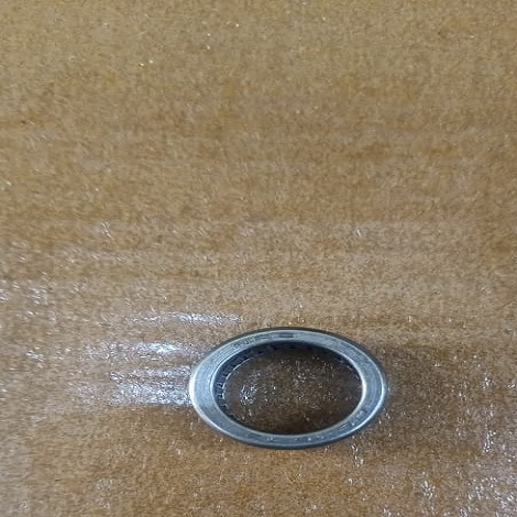 DL1612 NEEDLE BUSH - mjvaluemart